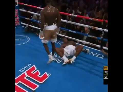 Deontay Wilder vs Luis Ortiz #shorts