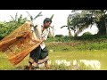 Traditional Net Fishing Village Amazing Fishing Man Catching Fish With A Cast Net Part 2