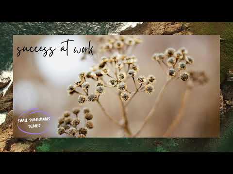 Success at work | subliminal
