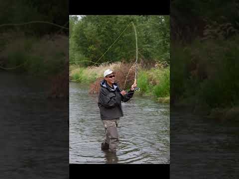 The Presidents go Fishing #fishing #shorts