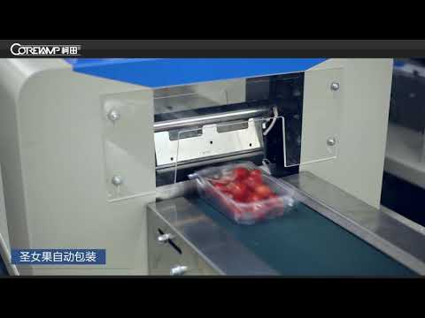 cherry tomatoes packing machine,cherry tomato packing line