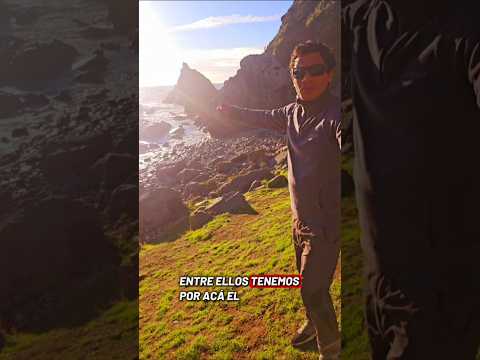 TREKKING AL FARO Y ARCO DE COCHOLGUE EN COSTAS DE LA REGIÓN DEL BIOBIO