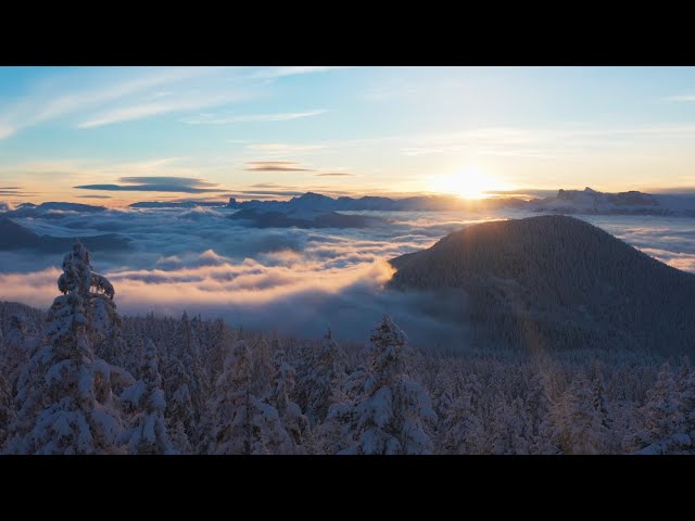 Marketing with Agentforce