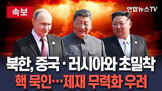 [????속보] 북한, 중국·러시아와 초밀착…북핵 묵인에 대북제재 무력화 우려 / 연합뉴스TV(YonhapnewsTV)