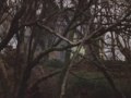 Love & Rage Movie Trailer
