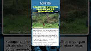 Misteri Kampung Siluman, Hutan Pinus yang Menyimpan Sejarah Erupsi Merapi Tahun 1930