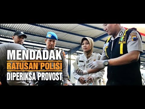 14 cm adalah anggota terkecil Efek teh pada potensi pada pria