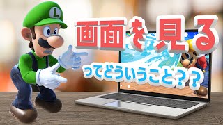 【スマブラSP】”画面を見る”という言葉の意味とは？