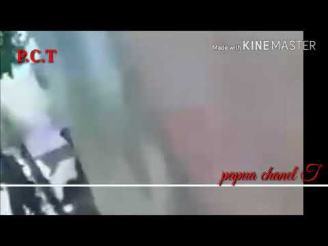 Penangkapan preman kebal yang meresahkan warga