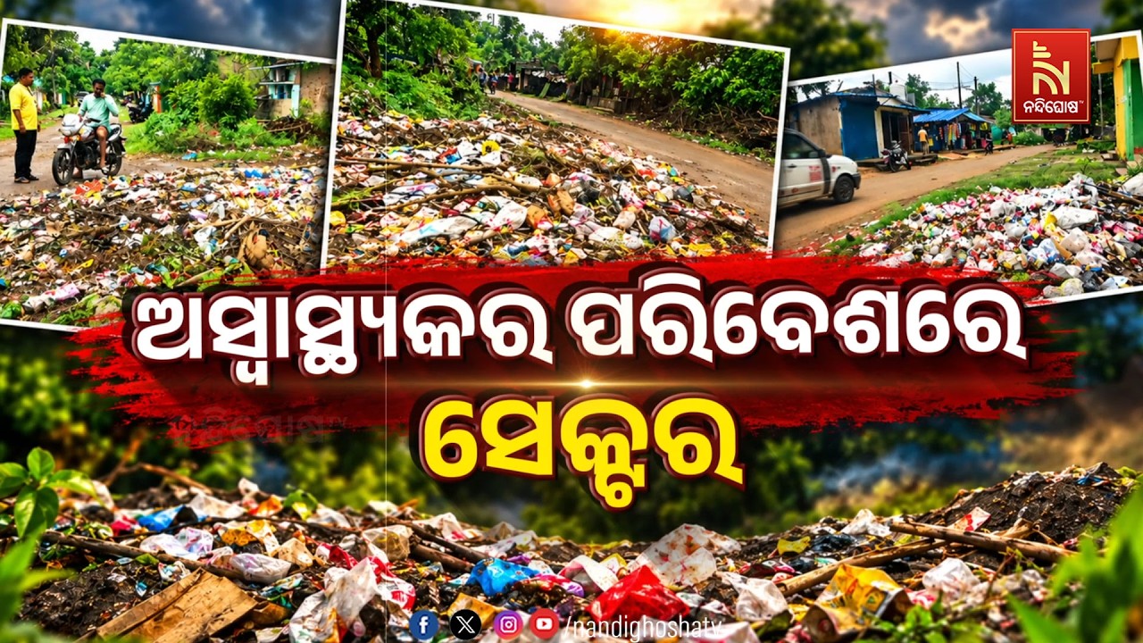 #odishareport ଅସ୍ବାସ୍ଥ୍ୟକର ପରିବେଶରେ ସେକ୍ଟର ଅଂଚଳ  | NandighoshaTV