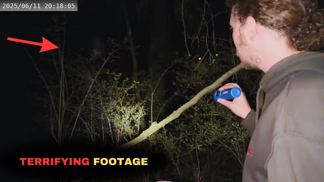 5 Most Disturbing Encounters In The Woods Ever Caught On Camera