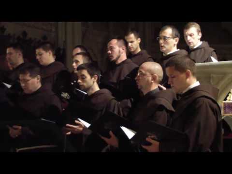 Zdravo zvijezdo mora (franjevački juniorat)