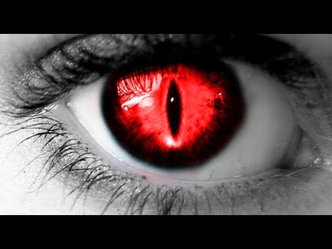 Çfarë duhet të bëjë një person që ka xhind në trup? - Dr. Imam Ahmed Kalaja