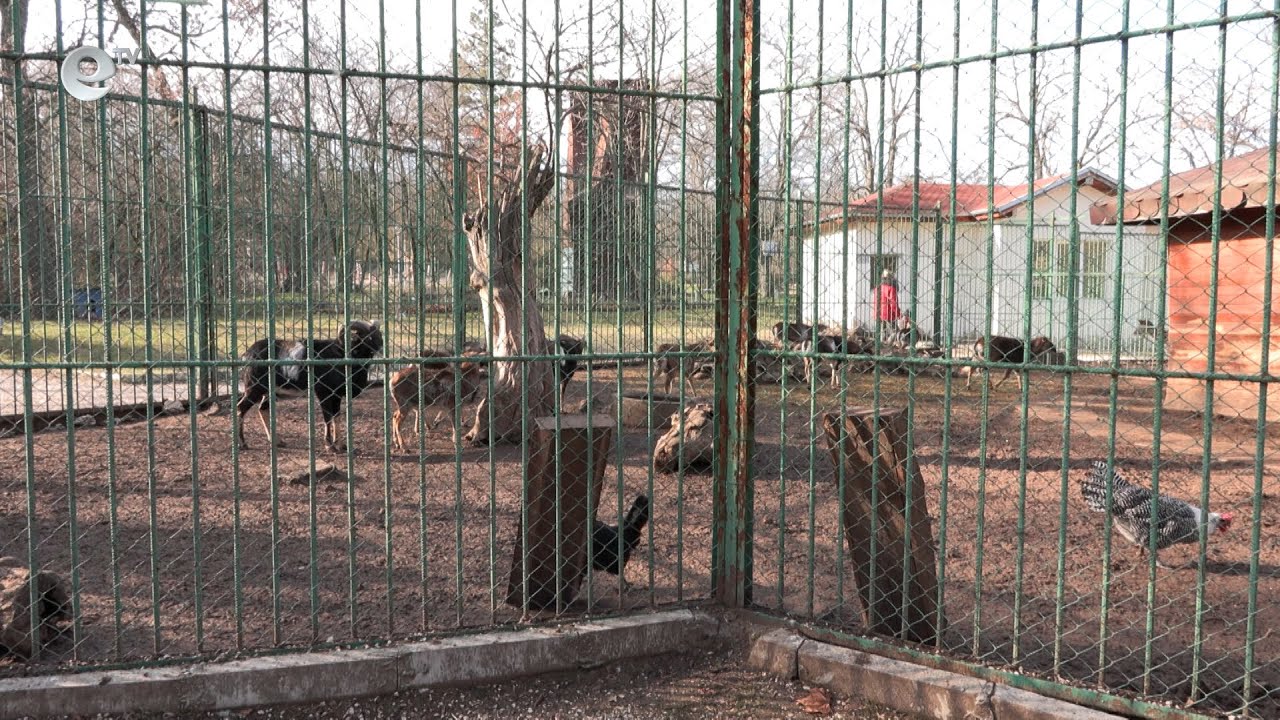 Приеха план за развитие на зоокъта в Димитровград