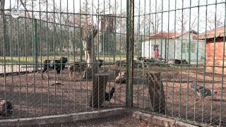 Приеха план за развитие на зоокъта в Димитровград