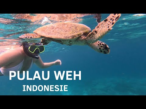 🇮🇩 Sumatra, Indonesia #3 Pulau Weh: snorkeling paradise!