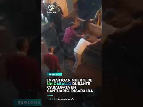 Investigan muerte de un caballo durante cabalgata en Santuario, Risaralda