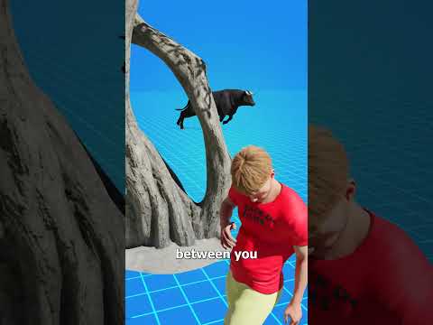 How To Escape A Raging Bull 😨