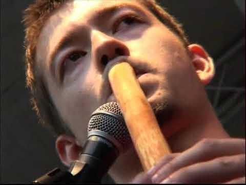 Folk Error - Sziget 2007 összefoglaló