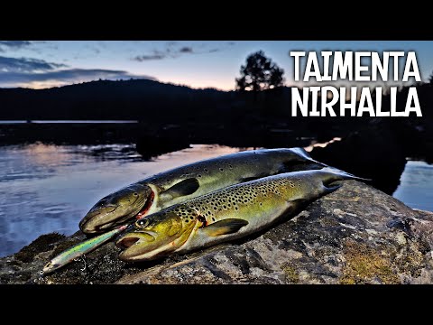 TROUT SURFACE FISHING, GRAYLING FLY FISHING AND ARCTIC CHARR FISHING