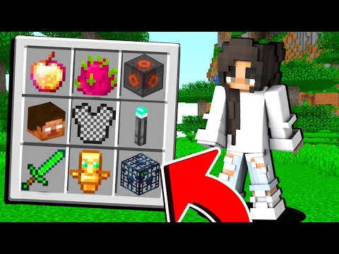 I 10 OGGETTI PIÚ RARI DI MINECRAFT