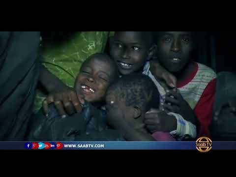 HEES QIIRO BADAN OO DARBI JIIF QAADAYO KA HADLAYSA XAALADAHA AY KU SUGAN YIHIIN