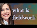 Fieldwork | meaning of Fieldwork