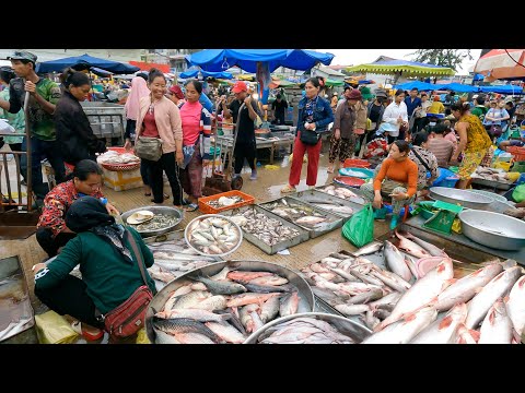 Early Morning Wholesale Fish Market View - Amazing Site Distribution Lively Fish, Seafood & Lobsters