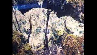 Eternal Tapestry - Cathedral of Radiance