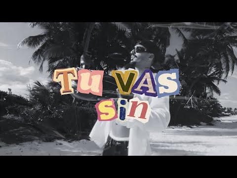 TU VAS SIN ♪ - [FIESTERO REMIX] - RELS B ✘ DJ SNAYDER ✘ DRAGON MUSIC