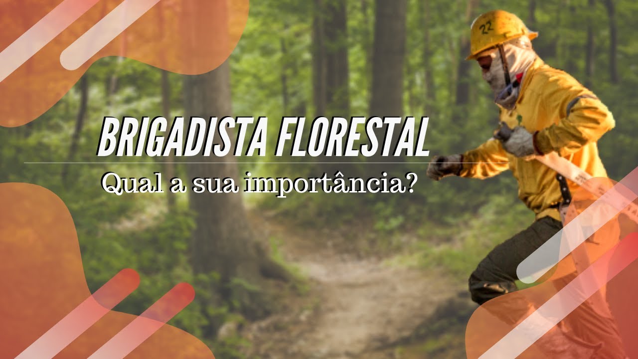 QUEIMADAS - A importância do Brigadista Florestal