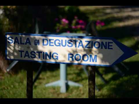 Agriturismo Fattoria Di Gratena - Arezzo - Italy