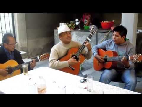 Tardes De Bohemia/Trío - Amor En Tinieblas Ft. David Mejia y Luis Osiel Cruz