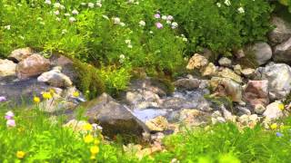 Amazing Grace   Piano