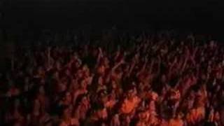 .Mamonas Downloads. Uma Arlinda Mulher - ao vivo - Valinhos