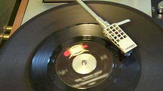 The Knickerbockers - One Track Mind.mp4