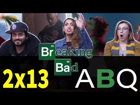 Breaking Bad - 2x13- ABQ - Group Reaction