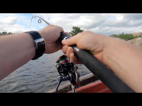 Monster pike fishing in Sweden