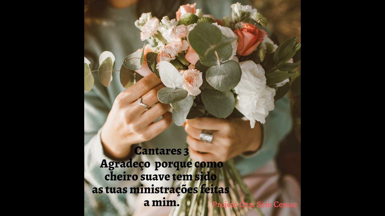 Cantares 3 - Agradeço porque como cheiro suave tem sido as tuas ministrações feitas a mim.
