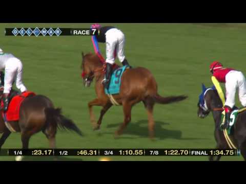 Madam Dancealot wins San Clemente Handicap (Gr.II), (Race 7) at Del Mar 07/23/2017