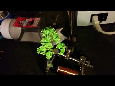 "Slow Dance" replica hello-world test.