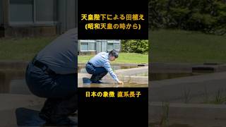 天皇陛下、皇居で田植えをされる、昭和天皇からの伝統