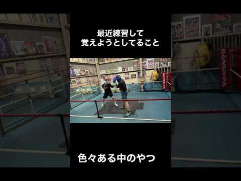 【スパーリング】ブロックからの返しのパンチを練習(去年の動画)#shorts