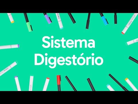 SISTEMA DIGESTÓRIO | BIOLOGIA | QUER QUE DESENHE?