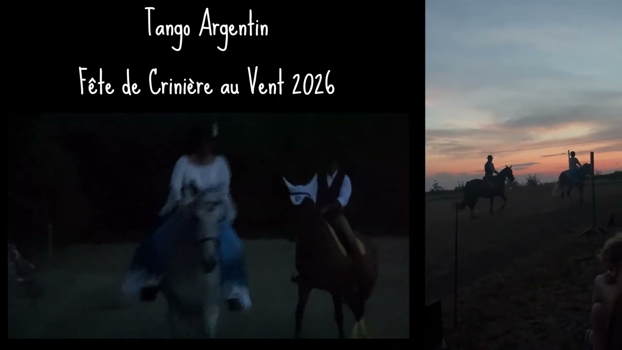 Vidéo externe