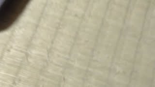 しつもん