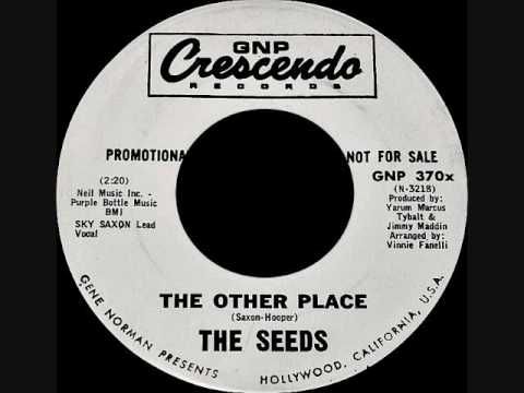 The Seeds - The other place