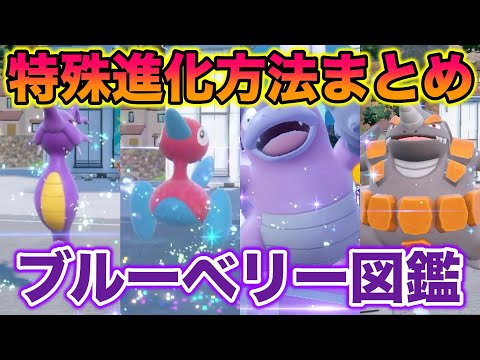 園芸 南アフリカ産紫ニンニク、バイオレットタルバギー