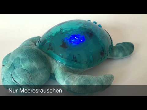 Test Nachtlicht "Cloud-B Tranquil Turtle" - Nachtlicht-ABC.de