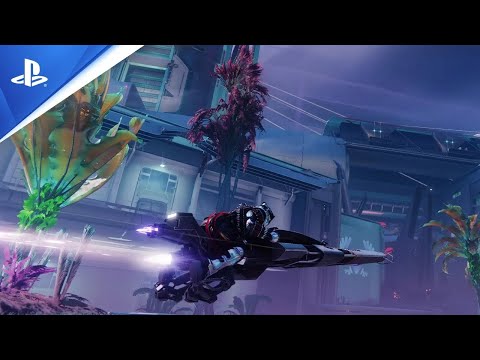 Video preview